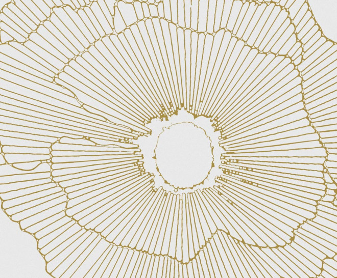 Art-Deco White Spritz Natural 30X30