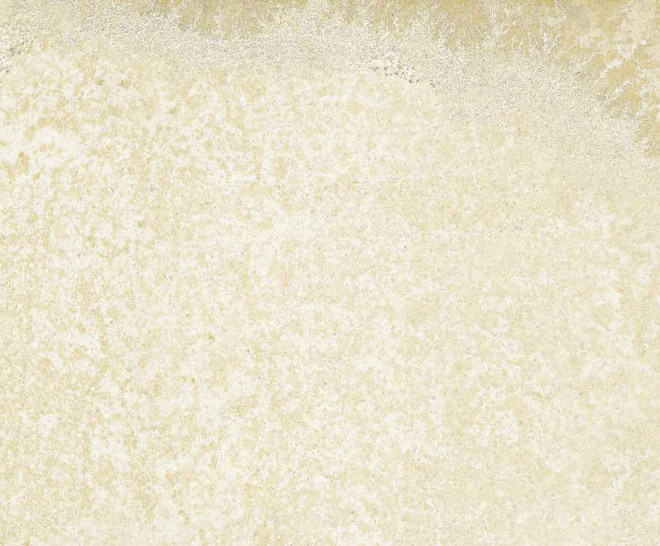 Bavaria Ivory 2Cm 50X100X2