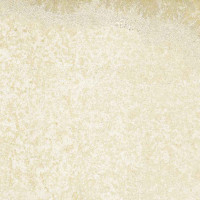 Bavaria Ivory 2Cm 50X100X2