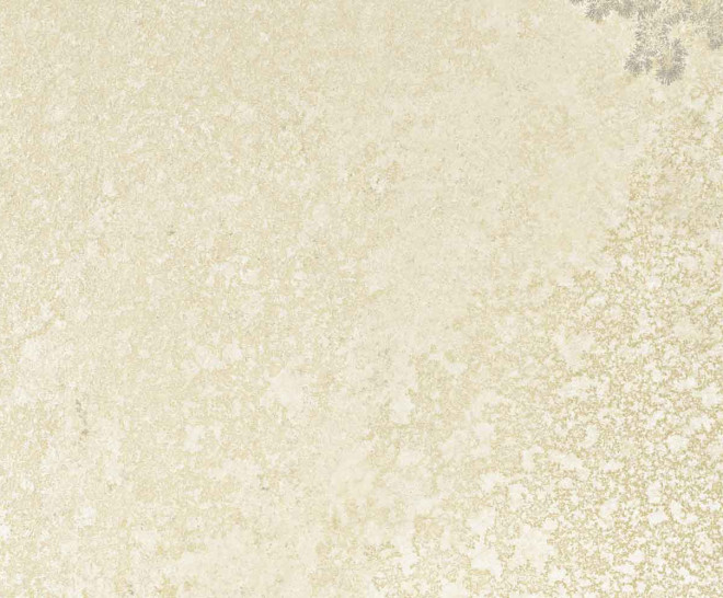 Bavaria Ivory Natural 50X100