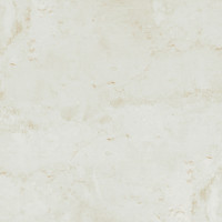 Brave Ivory 30X60