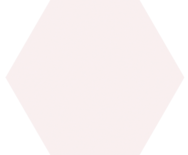 Chaplin White Hexagon Hexagonal 25X30