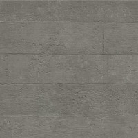 Ciment Ash Formwork Natural 50X100