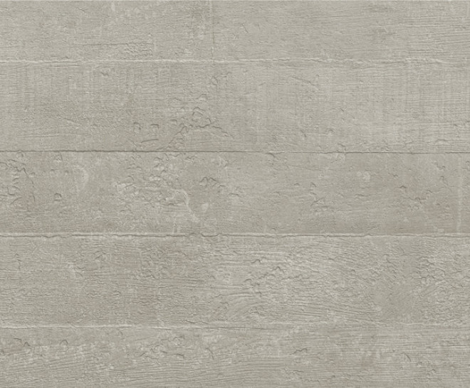 Ciment Grey Formwork Natural 50X100