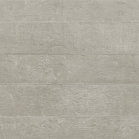 Ciment Grey Formwork Natural 50X100
