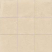 Danube Ivory Natural 60X60