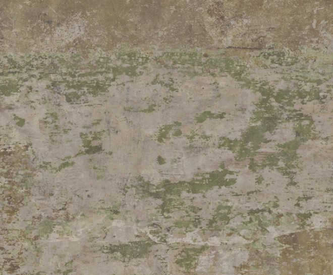 Evoke Green Natural 50X100
