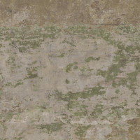 Evoke Green Natural 50X100