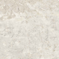 Evoke White Natural 60X120