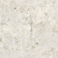Evoke White Natural 50X100