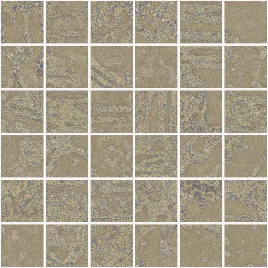 Fireclay Beige Nat Mos 5X5 Mos 30X30