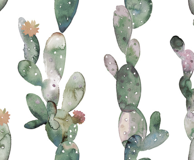 Glimpse Cactus Ornato 30X100