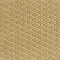 Glimpse Gold Plate 30X100