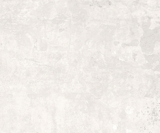 Harlem White Natural 50X100