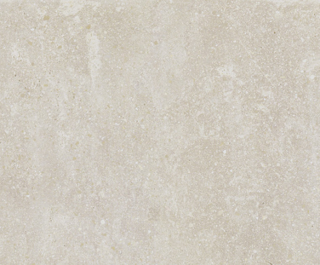 Lithops Ivory Natural 50X100