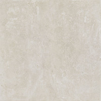 Lithops Ivory Natural 100X100