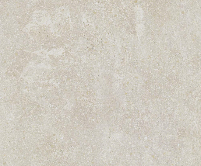 Lithops Ivory Natural 60X60