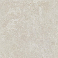 Lithops Ivory Natural 60X60
