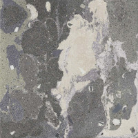 Lithops Lipan Stamp Natural 100X100