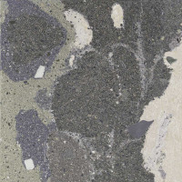 Lithops Lipan Stamp Natural 60X60