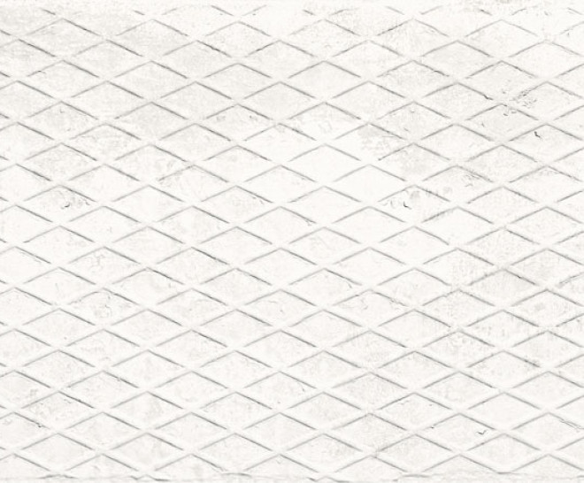 Metallic White Plate 30X100