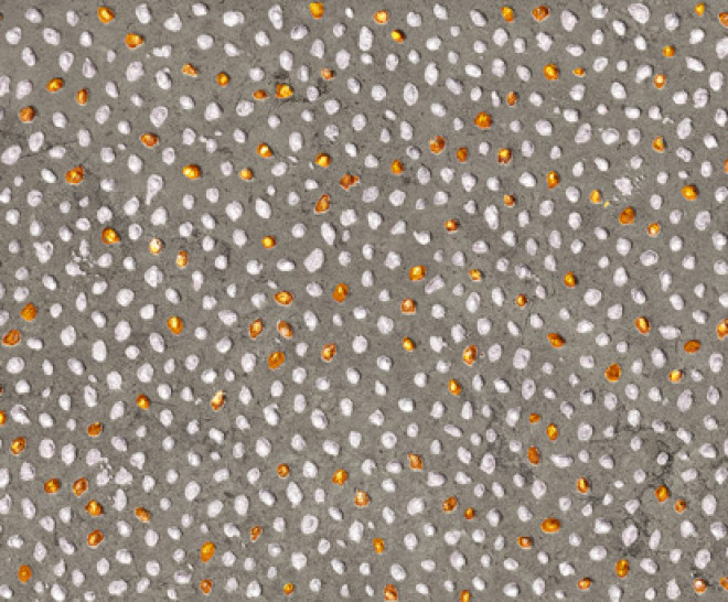 Moon Ash Volcano 30X90