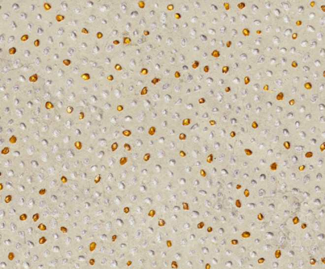 Moon Sand Volcano 30X90