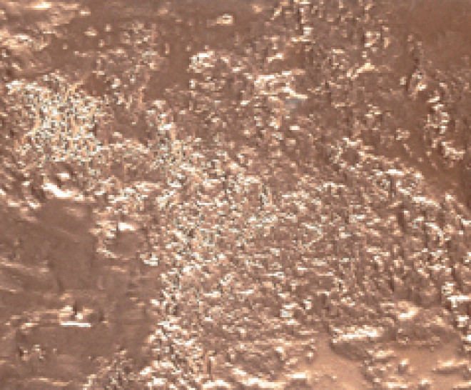 Neutral Copper Mud 30X90