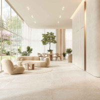 Noho White Natural 50X100