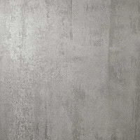 Omega Silver 60X60