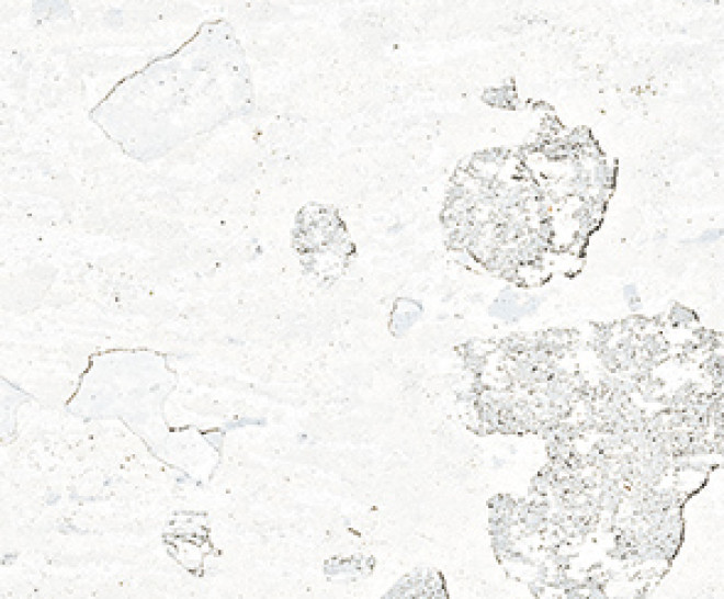 Remind Ice Natural 25X100