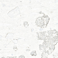 Remind Ice Natural 25X100