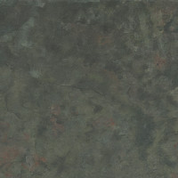 Slate Moss 2Cm 50X100X2