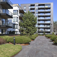 Sonora Grey 2Cm 50X100X2