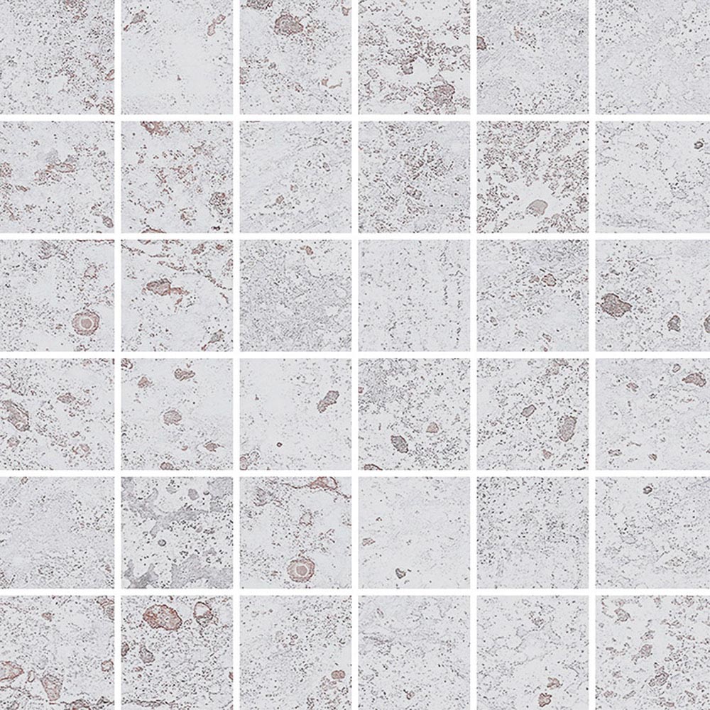 Sonora White Nat Mos 5X5 Mos 30X30