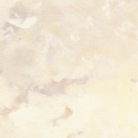 Spatolato Cream 30X90