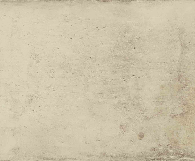 Terre Ice Natural 25X100