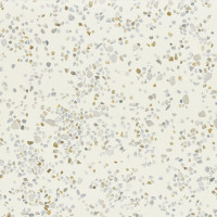 Trendy Ivory Natural 60X60