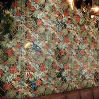 Tropical Tucanas Shiny 30X30