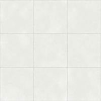 Vienna White Natural 60X60