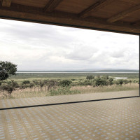 Zest Vestige Stamp 2Cm 50X100X2